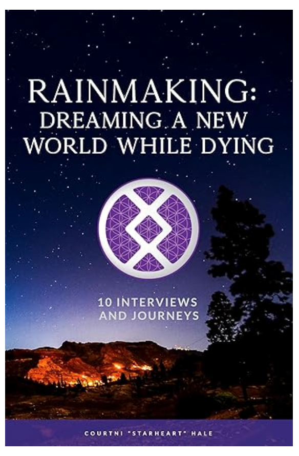 Rainmaking: Dreaming a New World While Dying — book cover